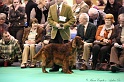Crufts2011_2 010